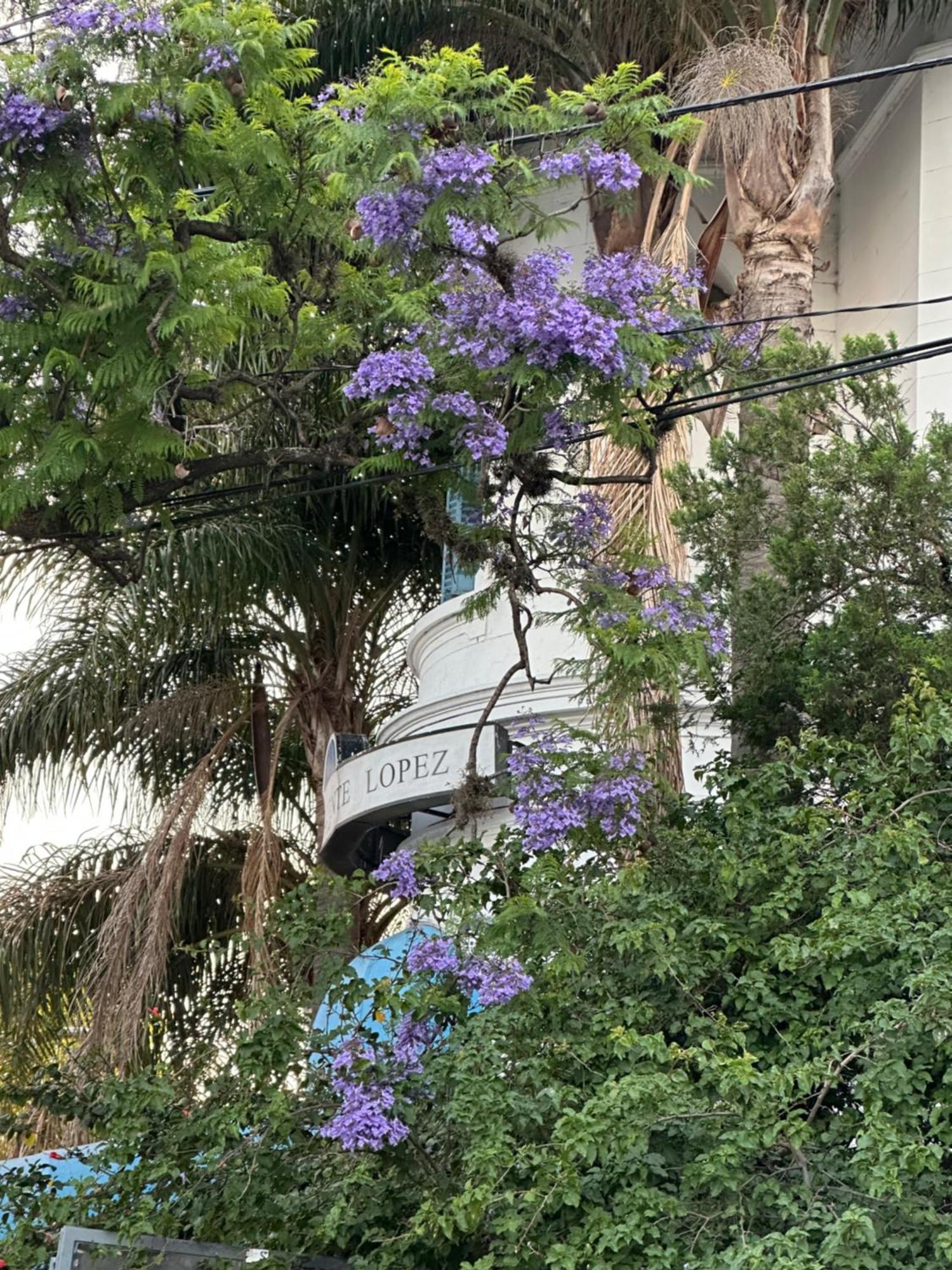 Hotel Vicente López Dış mekan fotoğraf